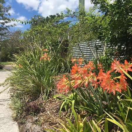 Eumundi Guesthouse And B&B Bagian luar foto