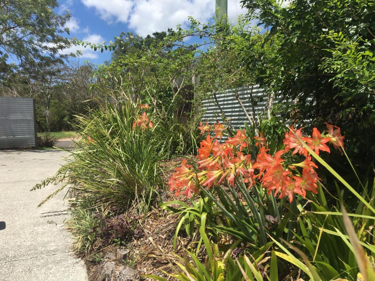 Eumundi Guesthouse And B&B Bagian luar foto