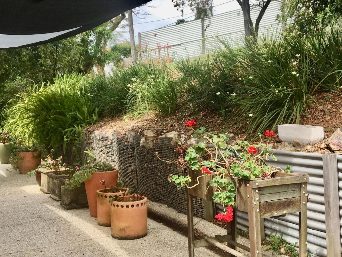 Eumundi Guesthouse And B&B Bagian luar foto