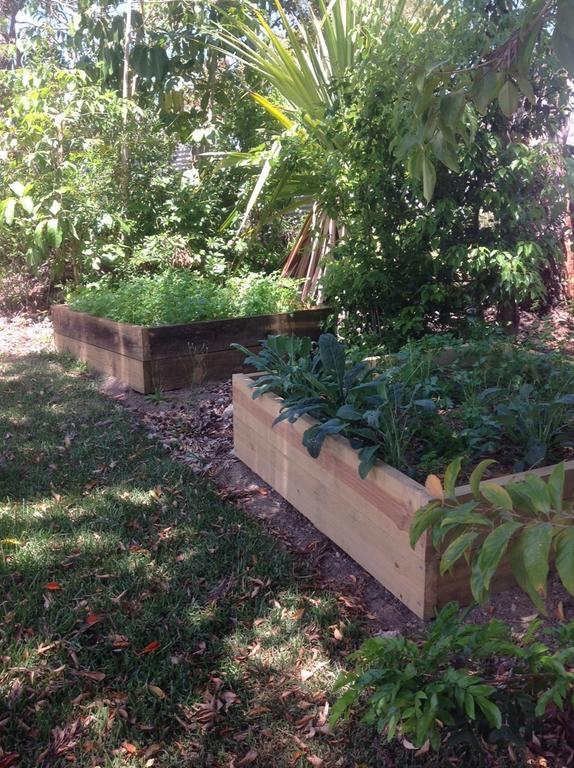 Eumundi Guesthouse And B&B Bagian luar foto