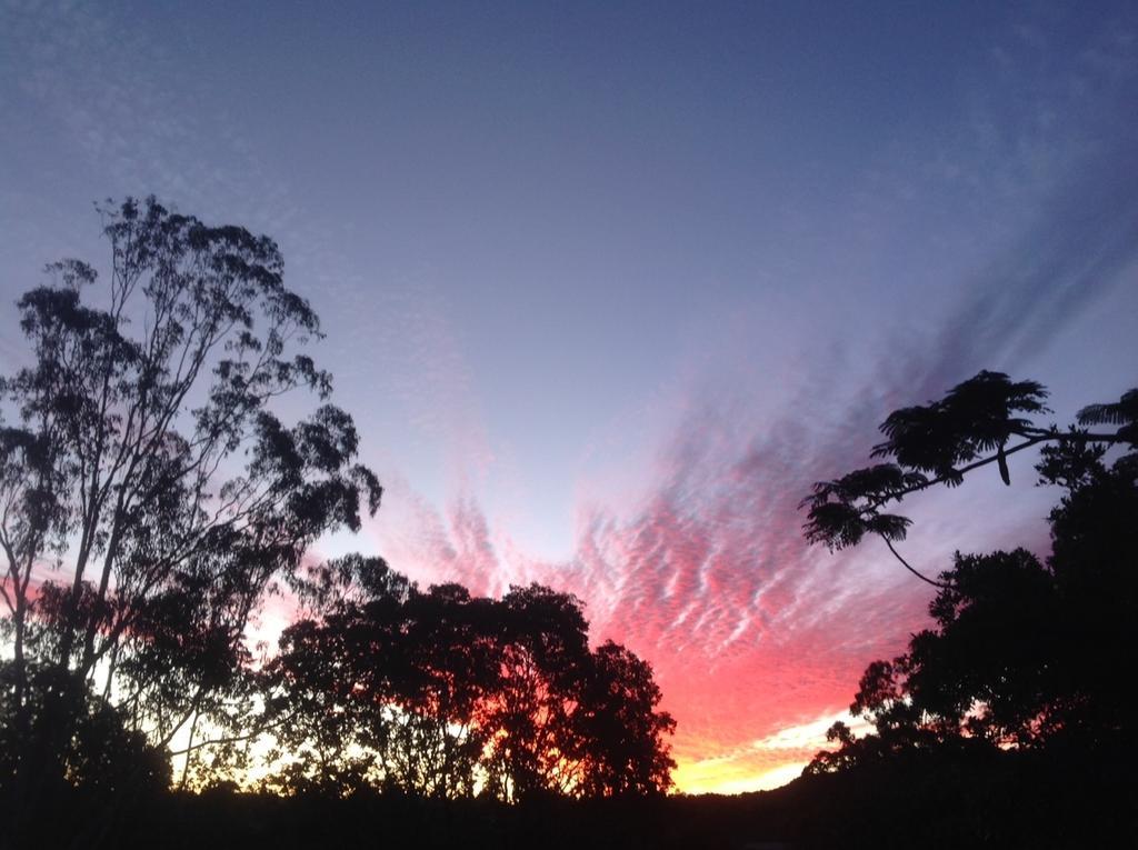 Eumundi Guesthouse And B&B Bagian luar foto